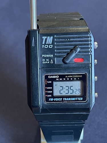 Casio 100 voice - tm-100, fm