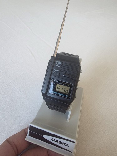 Casio 100 voice - tm-100, fm