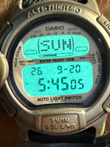 Vintage 90s casio - 90s, pro