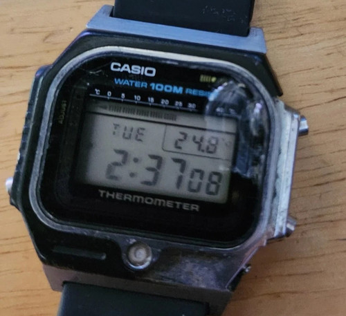 Casio 3000 thermometer - ts-3000,